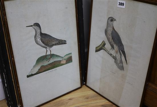 Three late 19th century chromolithographs